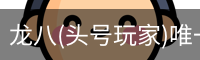 龙八头号玩家